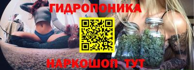 a pvp Пенза
