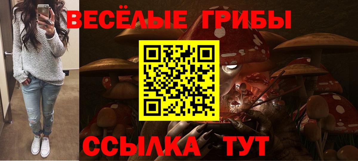 Томск  цена   Галлюциногенные грибы Cubensis  Вход с VPN  Псилоцибиновые грибы Psilocybe 