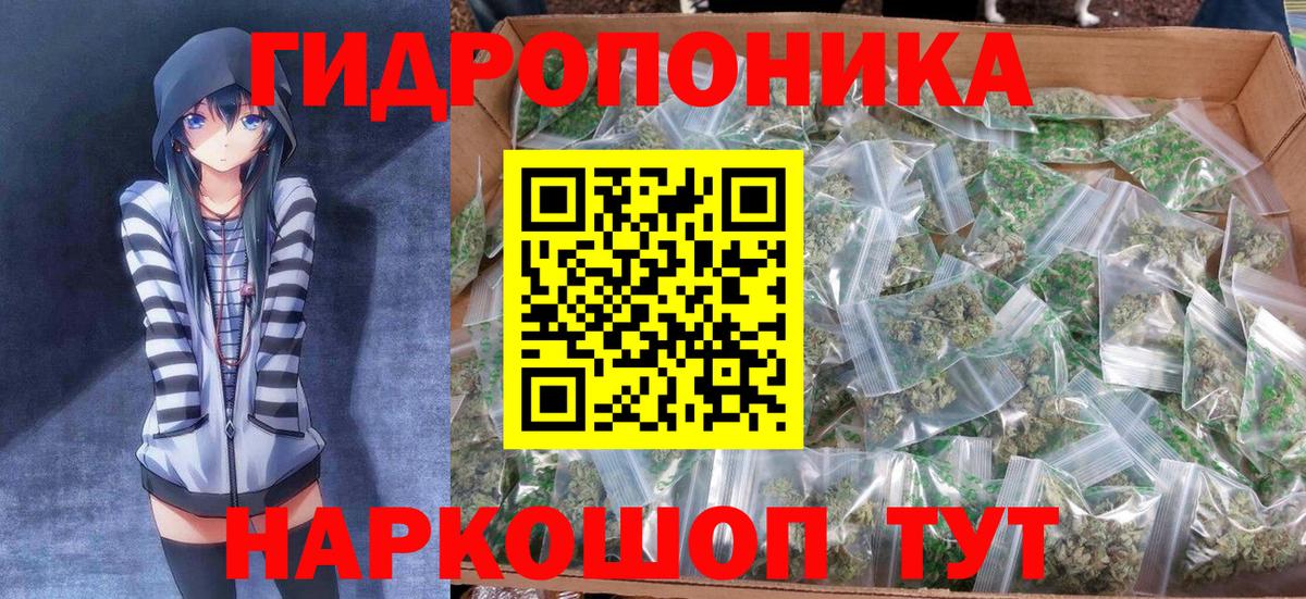 МАРИХУАНА конопля Томск